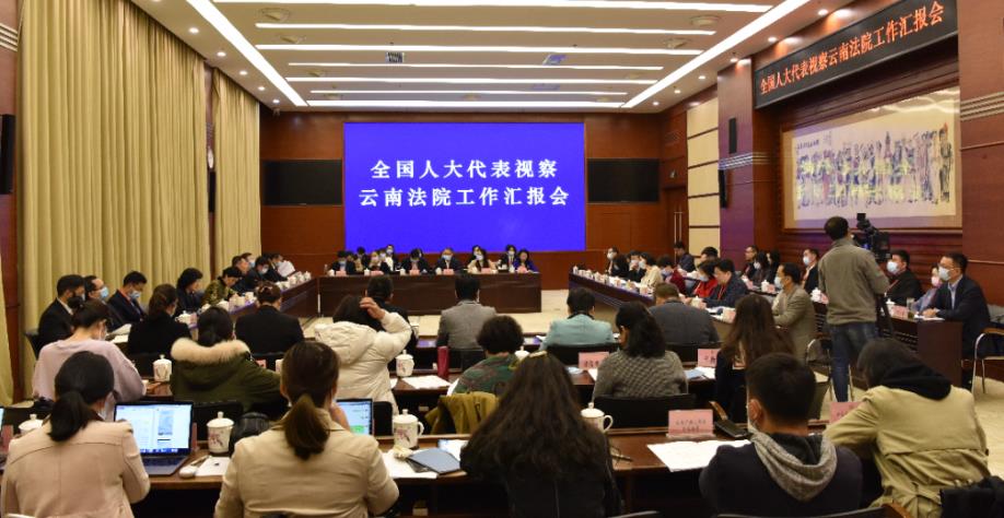 湖北省部分全国人大代表在滇开展云南法院工作视察活动]